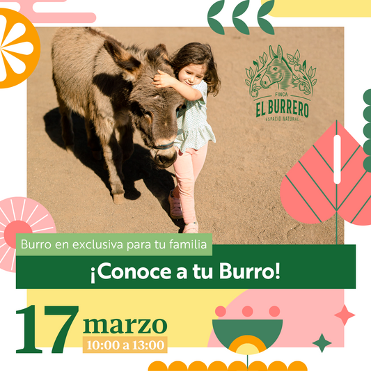 Primer evento “Conoce a tu burro”