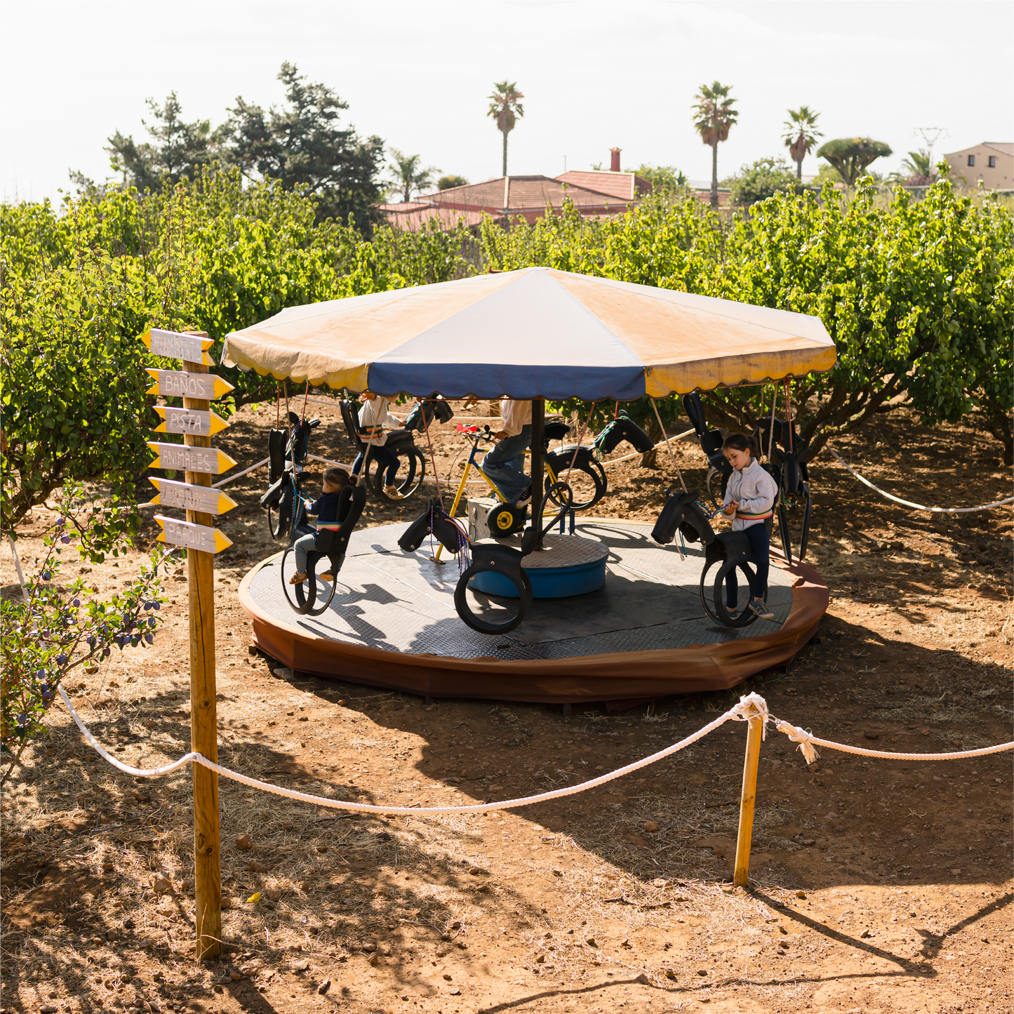 CUENTACUENTOS. Anita mi burrita - 3 de Enero